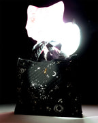 Milky Way Tote